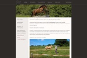 Horsemanship Online